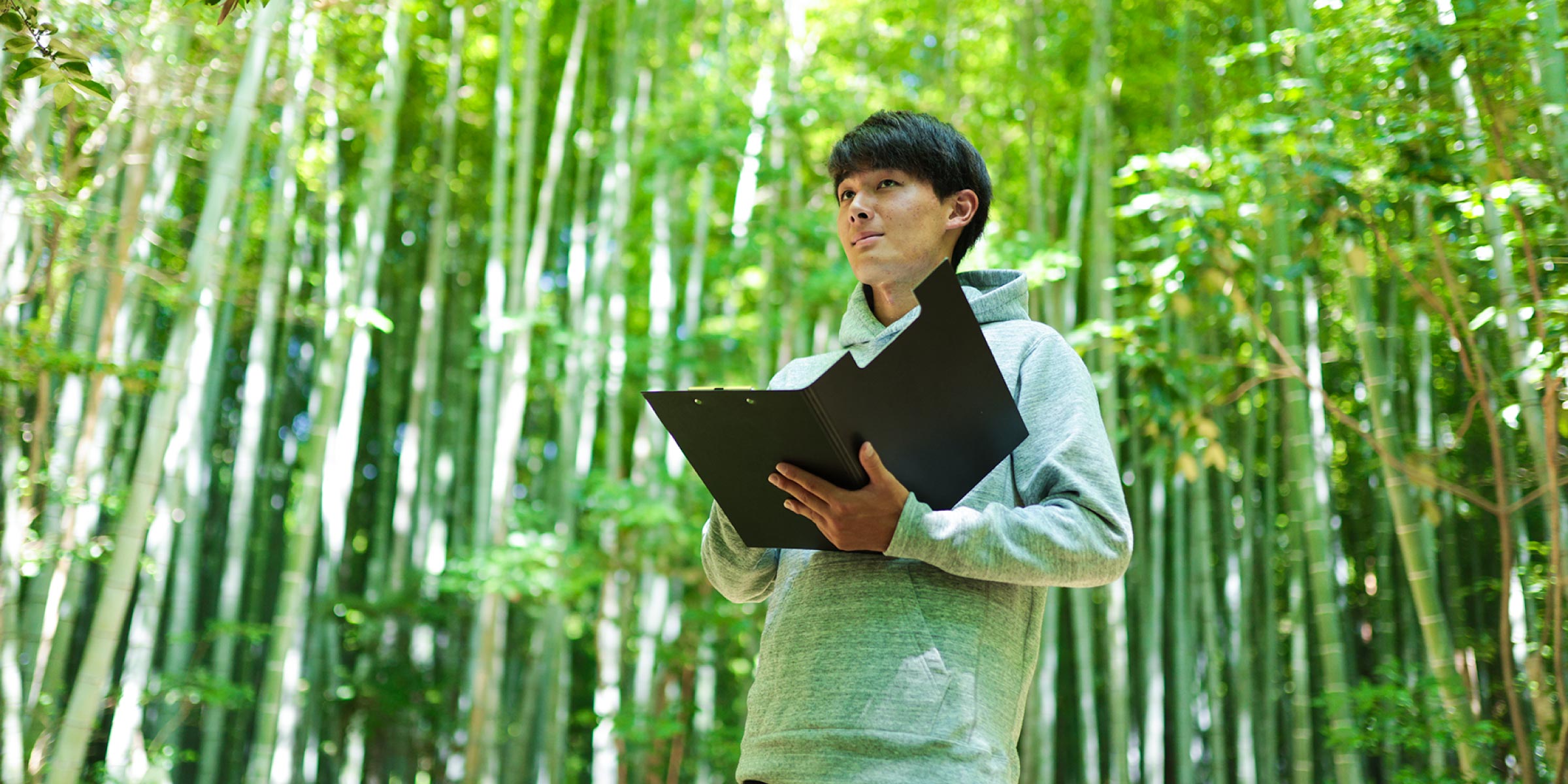 環境情報学部