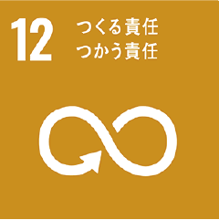 sdgs12