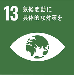 sdgs13